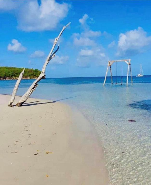 - Les Pieds Dans L'Eau A 50M De La Plage, Cote Mer Caraibe - Domaine De L'Anse Caritan - Sainte-Anne - Extérieur photo