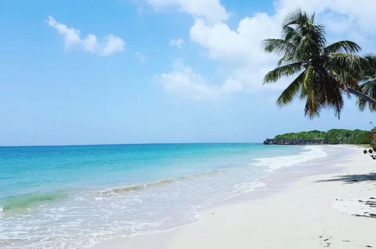 - Les Pieds Dans L'Eau A 50M De La Plage, Cote Mer Caraibe - Domaine De L'Anse Caritan - Sainte-Anne - Extérieur photo