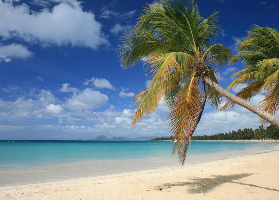 - Les Pieds Dans L'Eau A 50M De La Plage, Cote Mer Caraibe - Domaine De L'Anse Caritan - Sainte-Anne - Extérieur photo